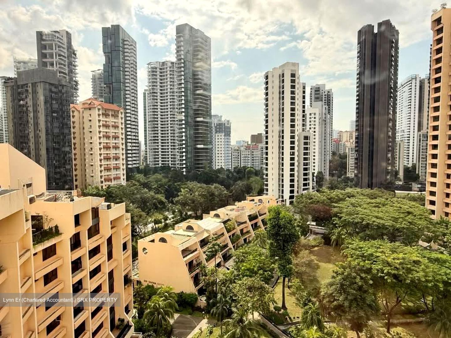 Yong An Park (D9), Condominium #581906541